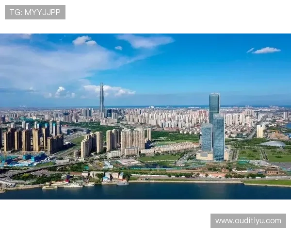 v体育官网在2024年市场中的竞争优势与未来前景展望